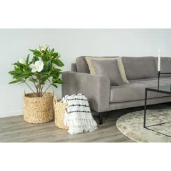 Giga Meubel Bloemenmand Rotan - Set Van 2 - Incl. Hendel - Mand Hyacint -Beste Opslag Winkel 1000074125 0101