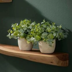 Woody Wandplank Set - Hout - Bruin 9 Woody Wandplank Set - Hout - Bruin -Beste Opslag Winkel 1000076612 0103