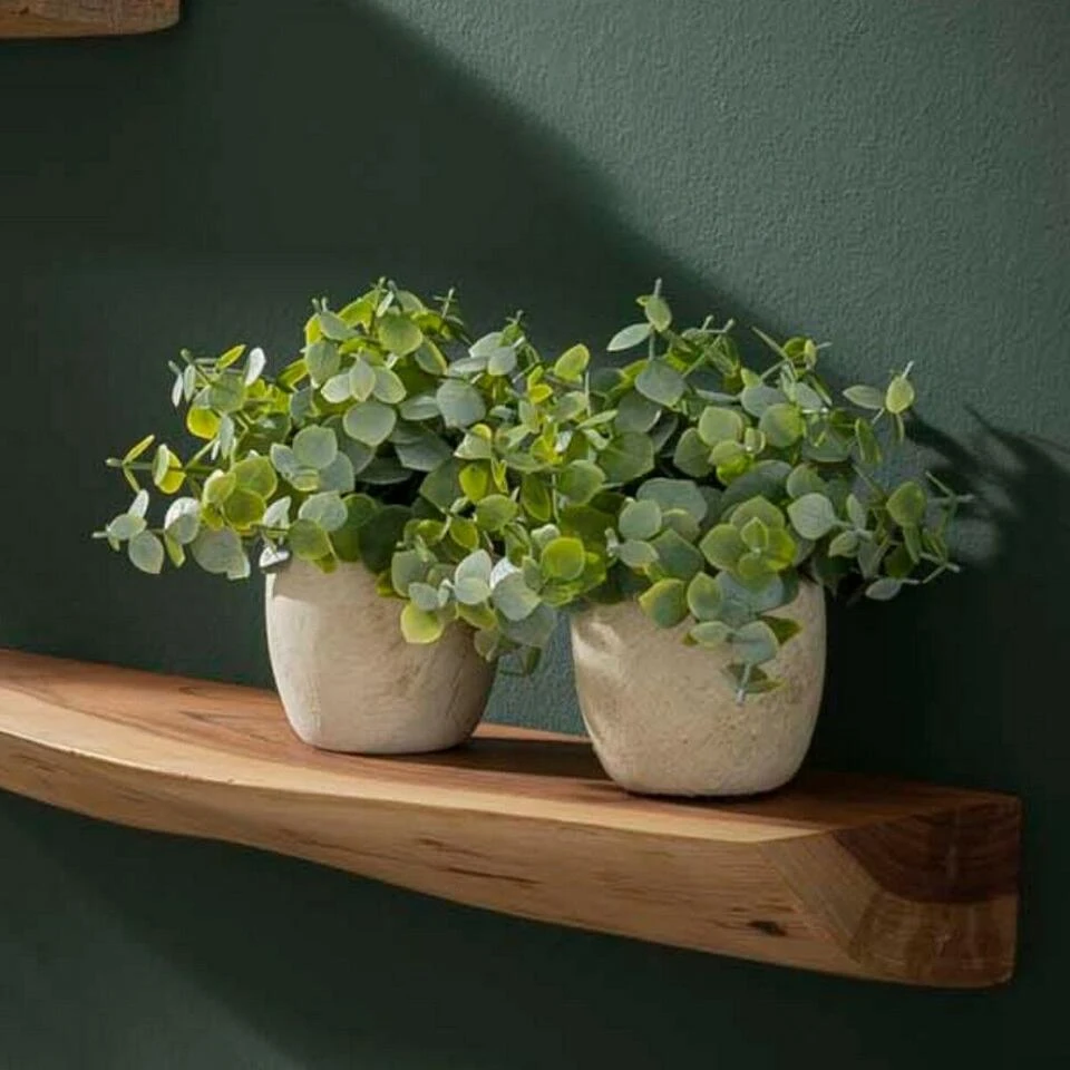 Woody Wandplank Set - Hout - Bruin 6 Woody Wandplank Set - Hout - Bruin - Afbeelding 4