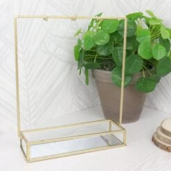 MISOU Sieradenrek Sieradenhouder Glas Goud 20x7x26cm Sieradendoos -Beste Opslag Winkel 1000085643 0110